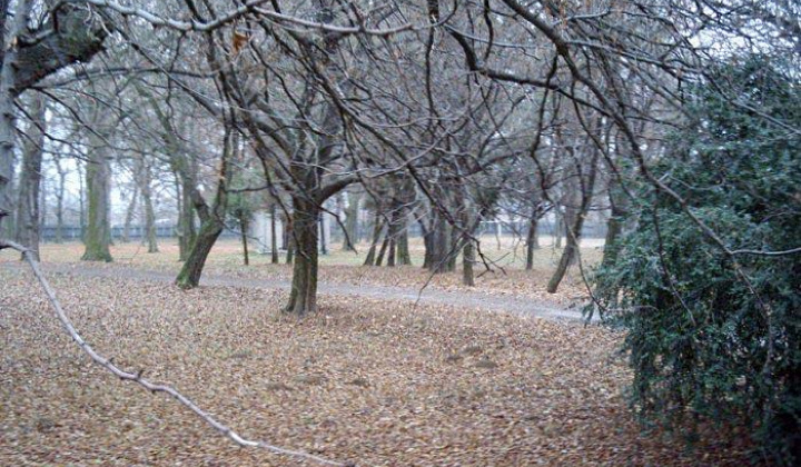 Zobraziť fotografiu