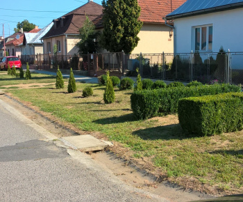 Zvonica