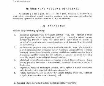 Ekumenický deň detí a rodiny 2024