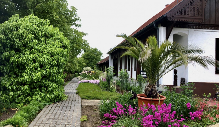 Zobraziť fotografiu