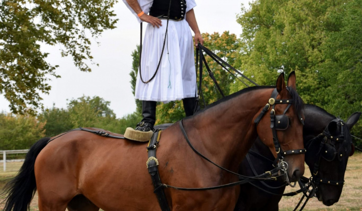 Zobraziť fotografiu