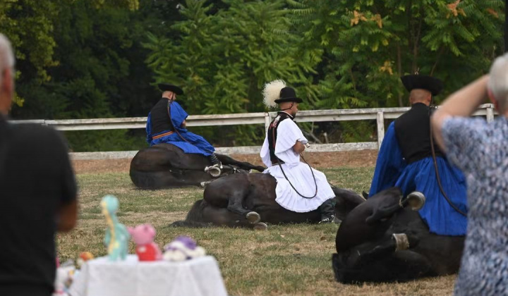 Zobraziť fotografiu