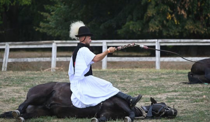 Zobraziť fotografiu